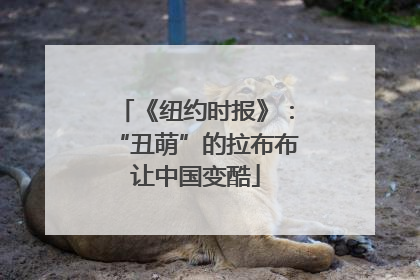 《纽约时报》：“丑萌”的拉布布让中国变酷