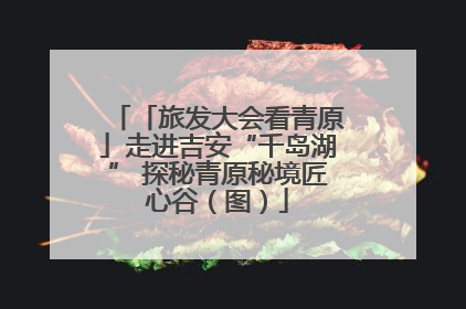 「旅发大会看青原」走进吉安“千岛湖” 探秘青原秘境匠心谷（图）