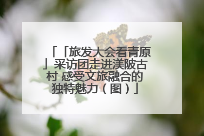 「旅发大会看青原」采访团走进渼陂古村 感受文旅融合的独特魅力（图）
