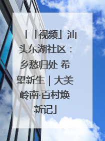 「视频」汕头东湖社区：乡愁归处 希望新生｜大美岭南·百村焕新记