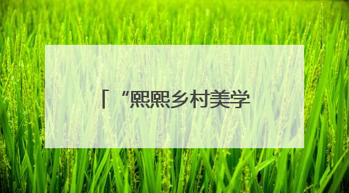 “熙熙乡村美学”进校园特殊孩子欢度好时光