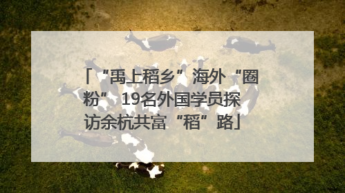 “禹上稻乡”海外“圈粉” 19名外国学员探访余杭共富“稻”路