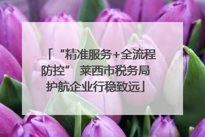 “精准服务+全流程防控” 莱西市税务局护航企业行稳致远