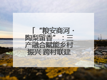 “粮安商河・陶梨留香”：三产融合赋能乡村振兴 跨村联建绘就共富画卷