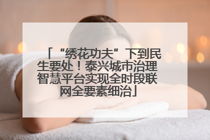 “绣花功夫”下到民生要处！泰兴城市治理智慧平台实现全时段联网全要素细治