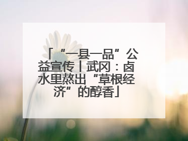 “一县一品”公益宣传丨武冈：卤水里熬出“草根经济”的醇香