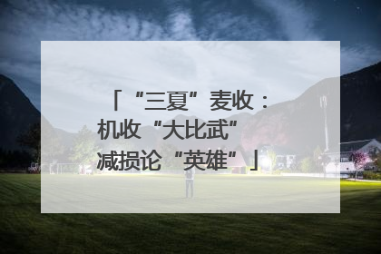 “三夏”麦收：机收“大比武” 减损论“英雄”