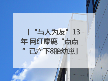 “与人为友”13年 网红麋鹿“点点”已产下8胎幼崽