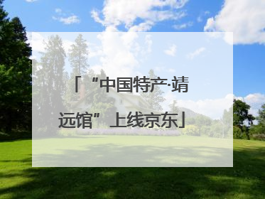 “中国特产·靖远馆”上线京东