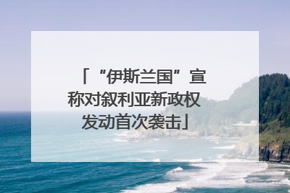 “伊斯兰国”宣称对叙利亚新政权发动首次袭击