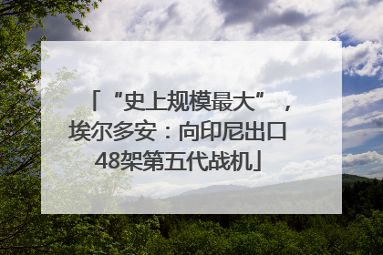 “史上规模最大”，埃尔多安：向印尼出口48架第五代战机