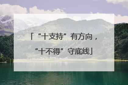 “十支持”有方向，“十不得”守底线