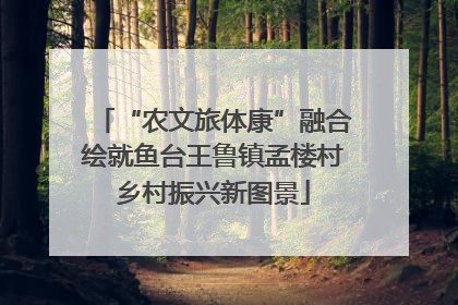 “农文旅体康”融合绘就鱼台王鲁镇孟楼村乡村振兴新图景