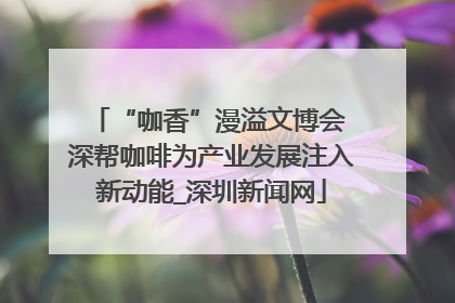 “咖香”漫溢文博会 深帮咖啡为产业发展注入新动能_深圳新闻网