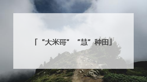 “大米哥”“慧”种田