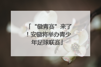 “徽青赛”来了！安徽将举办青少年足球联赛