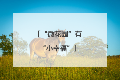“微花园”有“小幸福”