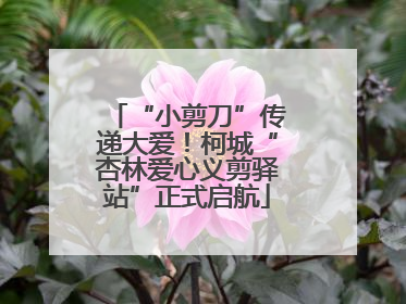 “小剪刀”传递大爱！柯城“杏林爱心义剪驿站”正式启航