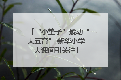“小垫子”撬动“大五育” 新华小学大课间引关注