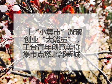 “小集市”凝聚创业“大能量”，王台青年创意美食集市点燃北部新城夜经济