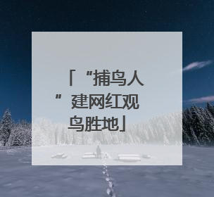 “捕鸟人”建网红观鸟胜地