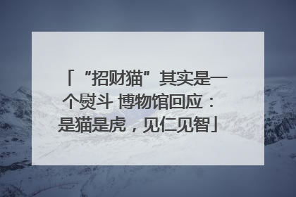“招财猫”其实是一个熨斗 博物馆回应：是猫是虎，见仁见智