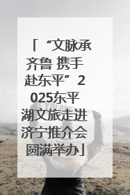 “文脉承齐鲁 携手赴东平”2025东平湖文旅走进济宁推介会圆满举办