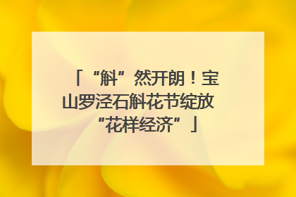 “斛”然开朗！宝山罗泾石斛花节绽放“花样经济”