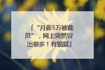 “月薪5万被裁员”，网上突然冒出很多！有猫腻