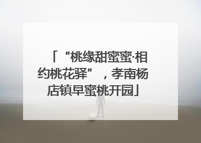 “桃缘甜蜜蜜·相约桃花驿”，孝南杨店镇早蜜桃开园
