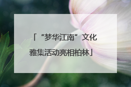 “梦华江南”文化雅集活动亮相柏林