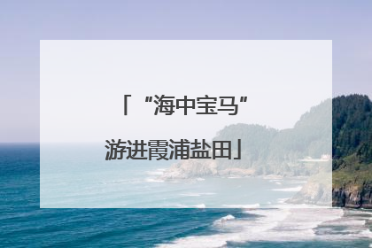 “海中宝马”游进霞浦盐田