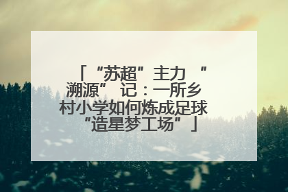 “苏超”主力 “溯源” 记：一所乡村小学如何炼成足球 “造星梦工场”