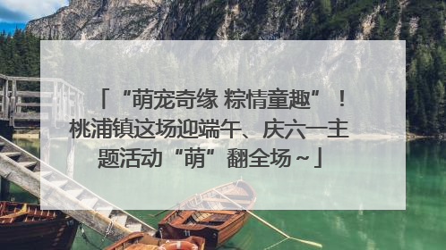 “萌宠奇缘 粽情童趣”！桃浦镇这场迎端午、庆六一主题活动“萌”翻全场～