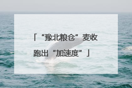 “豫北粮仓”麦收跑出“加速度”