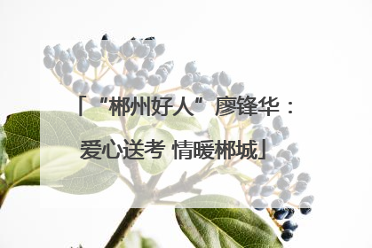 “郴州好人”廖锋华：爱心送考 情暖郴城