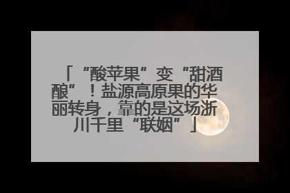 “酸苹果”变“甜酒酿”！盐源高原果的华丽转身，靠的是这场浙川千里“联姻”