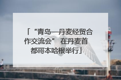 “青岛—丹麦经贸合作交流会” 在丹麦首都哥本哈根举行