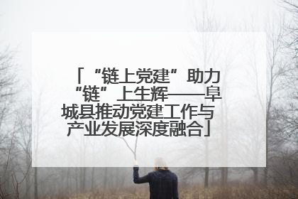 “链上党建”助力“链”上生辉——阜城县推动党建工作与产业发展深度融合