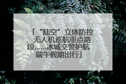 “陆空”立体防控、无人机巡航重点路段……冰城交警护航端午假期出行