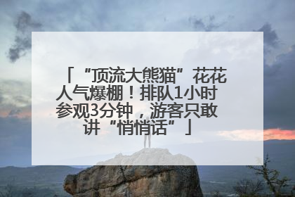 “顶流大熊猫”花花人气爆棚！排队1小时参观3分钟，游客只敢讲“悄悄话”