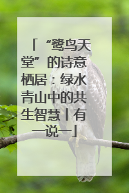 “鹭鸟天堂”的诗意栖居：绿水青山中的共生智慧丨有一说一