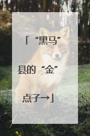 “黑马”县的“金”点子→