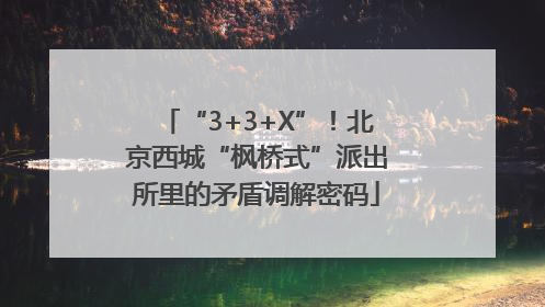 “3+3+X”！北京西城“枫桥式”派出所里的矛盾调解密码