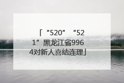 “520”“521”黑龙江省9964对新人喜结连理