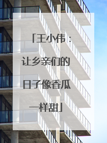 王小伟：让乡亲们的日子像香瓜一样甜