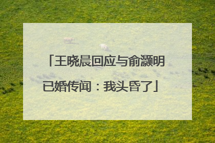王晓晨回应与俞灏明已婚传闻：我头昏了