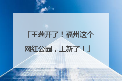 王莲开了！福州这个网红公园，上新了！