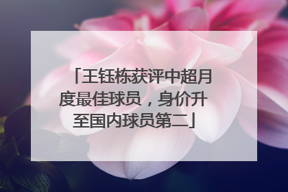 王钰栋获评中超月度最佳球员，身价升至国内球员第二