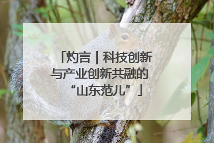 灼言｜科技创新与产业创新共融的“山东范儿”